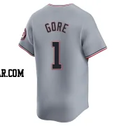 MacKenzie Gore Youth Washington Nationals Gray Limited Road Jersey