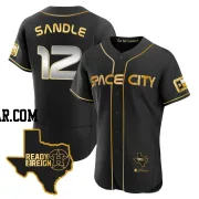 Michael Sandle Men's Houston Astros Black/Gold Authentic 2023 Space City Ready 2 Reign Flex Base Jersey