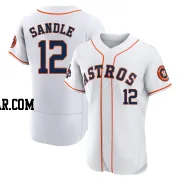 Michael Sandle Men's Houston Astros White Authentic 2022 World Series Champions Home Jersey