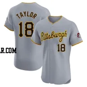 Michael Taylor Men's Pittsburgh Pirates Gray Elite Road Jersey