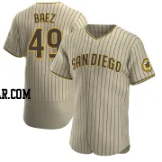 Michel Baez Men's San Diego Padres Tan/Brown Authentic Alternate Jersey