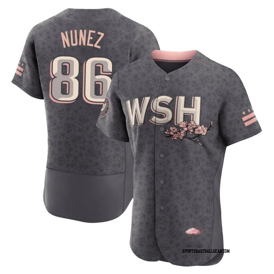 Nasim Nunez Men's Washington Nationals Gray Authentic 2022 City Connect Jersey