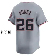 Nasim Nunez Men's Washington Nationals Gray Limited Road Jersey