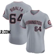 Orlando Ribalta Men's Washington Nationals Gray Elite Road Jersey