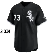 Prelander Berroa Men's Chicago White Sox Black Limited Alternate Jersey