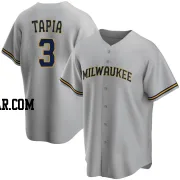 Raimel Tapia Youth Milwaukee Brewers Gray Replica Road Jersey