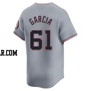 Robert Garcia Youth Washington Nationals Gray Limited Road Jersey