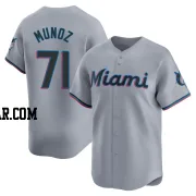 Roddery Munoz Men's Miami Marlins Gray Limited Road Jersey