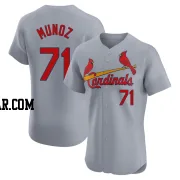 Roddery Munoz Men's St. Louis Cardinals Gray Elite Road Jersey