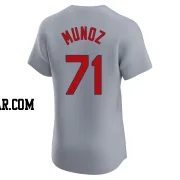 Roddery Munoz Men's St. Louis Cardinals Gray Elite Road Jersey