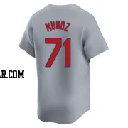 Roddery Munoz Men's St. Louis Cardinals Gray Limited Away Jersey