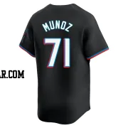 Roddery Munoz Youth Miami Marlins Black Limited Alternate Jersey