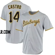 Rodolfo Castro Youth Pittsburgh Pirates Gray Replica Road Jersey