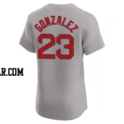 Romy Gonzalez Men's Boston Red Sox Gray Elite Road Jersey