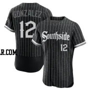 Romy Gonzalez Men's Chicago White Sox Black Authentic 2021 City Connect Jersey