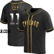 Ron Cey Men's Chicago Cubs Black Golden Replica Alternate Jersey