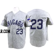 Ryne Sandberg Men's Chicago Cubs Grey Replica 1969 Throwback Jersey