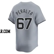 Sammy Peralta Youth Chicago White Sox Gray Limited Road Jersey