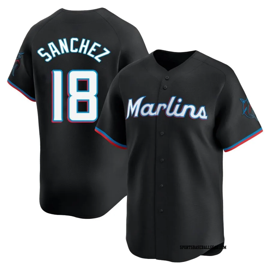 Sixto Sanchez Youth Miami Marlins Black Limited Alternate Jersey