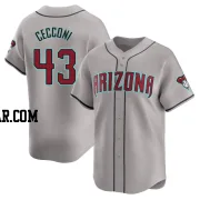 Slade Cecconi Men's Arizona Diamondbacks Gray Limited Away Jersey