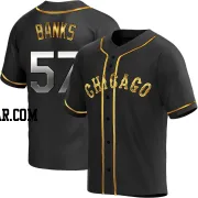 Tanner Banks Men's Chicago White Sox Black Golden Replica Alternate Jersey