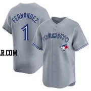 Tony Fernandez Youth Toronto Blue Jays Gray Limited Away Jersey