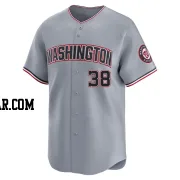 Trey Lipscomb Youth Washington Nationals Gray Limited Road Jersey