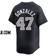 Victor Gonzalez Men's New York Yankees Navy Limited Alternate Jersey