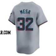 Victor Mesa Youth Miami Marlins Gray Limited Road Jersey