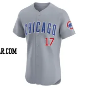 Vidal Brujan Men's Chicago Cubs Gray Elite Road Jersey