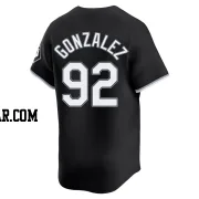 Wikelman Gonzalez Youth Chicago White Sox Black Limited Alternate Jersey