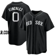 Wilkelman Gonzalez Youth Boston Red Sox Black/White Replica Jersey