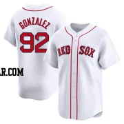 Wilkelman Gonzalez Youth Boston Red Sox White Limited Home Jersey