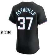 Willians Astudillo Men's Miami Marlins Black Elite Alternate Vapor Premier Jersey