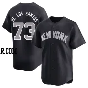 Yerry de los Santos Men's New York Yankees Navy Limited Alternate Jersey