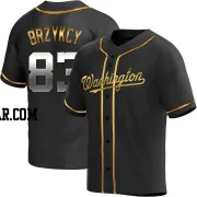 Zach Brzykcy Men's Washington Nationals Black Golden Replica Alternate Jersey