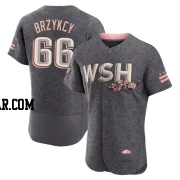 Zach Brzykcy Men's Washington Nationals Gray Authentic 2022 City Connect Jersey