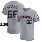 Zach Brzykcy Men's Washington Nationals Gray Elite Road Jersey