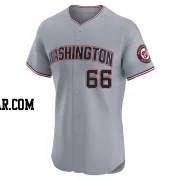 Zach Brzykcy Men's Washington Nationals Gray Elite Road Jersey