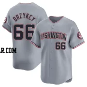 Zach Brzykcy Youth Washington Nationals Gray Limited Road Jersey